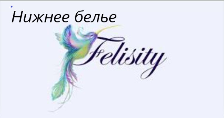 Логотип Felisity